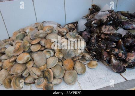 Nahaufnahme von Muscheln und Muscheln in der Markthalle in Angelmo, Puerto Montt im Süden Chiles. Stockfoto