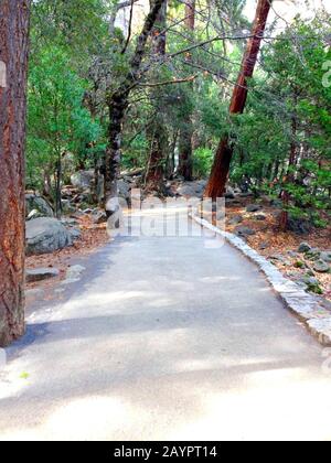 Gepflasterter Waldweg im Yosemite-Nationalpark, Sierra Nevada im Norden Kaliforniens, Vereinigte Staaten Stockfoto