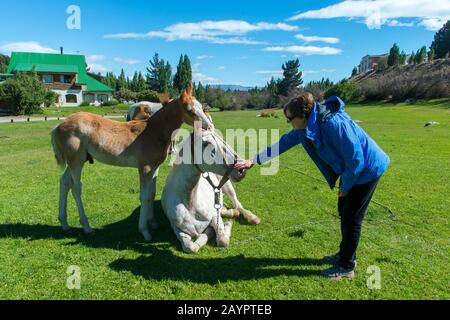 Frau (Modellversion 20020923-10) interagiert mit den Pferden im Estancia Hotel Kau Yatun in El Calafate, Argentinien. Stockfoto