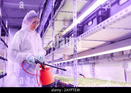 Taille oben Portrait der weiblichen Agraringenieurin, die Dünger sprüht, während sie in der Baumschule arbeiten, das von blauem Licht beleuchtet wird, Kopierraum Stockfoto