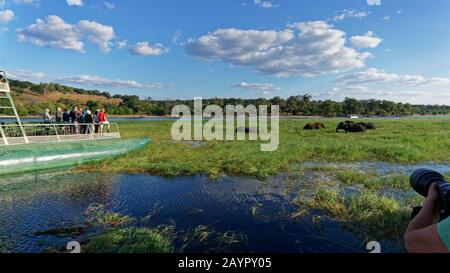 Botswana/AFRIKA - 1. JUNI 2017: [Touristische Flusskreuzfahrtschiffe vor einer Elefantenherde, Sambezi-Fluss, Chobe National Park, Botswana, Afrika.] Stockfoto