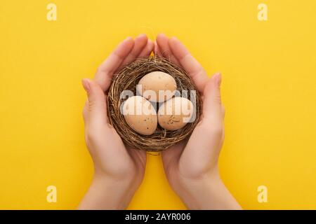 3/4-Ansicht der Frau, die Hühnereier im Gelege auf farbenfrohem gelbem Hintergrund hält Stockfoto
