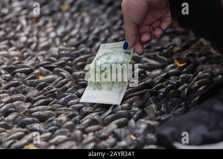 Die rechte Hand nimmt eine 5 Dollar teure grüne Singapur-Note auf den Kieselsteinen auf. Stockfoto