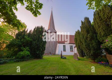 Gemeine Eibe, englische Eibe, Europäische Eibe (Taxus baccata), hundert Jahre alte Eibe auf dem Kirchhof in Flintbek, 1220 erbaute Kirche, Deutschland, Flintbek Stockfoto