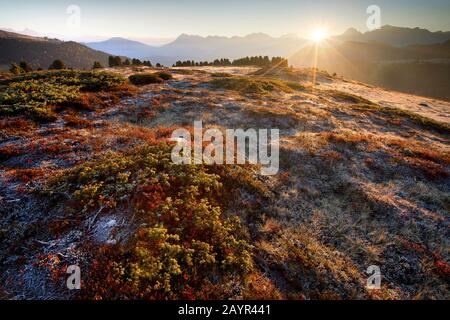 Dolden bei Sonnenaufgang, Italien, Südtirol, Dolden, Julische Alpen Stockfoto