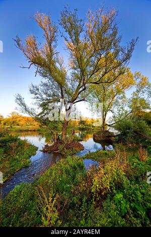 Elbsche Flussmündungen im Ruhrgebiet bei Wengern, Deutschland, Nordrhein-Westfalen, Ruhrgebiet, Wetter/Ruhrgebiet Stockfoto