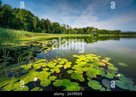 Burgaeschisee im Morgengrauen, Schweiz, Solothurn Stockfoto