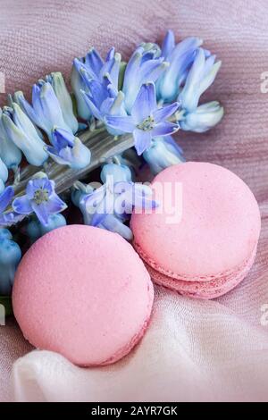 Rosafarbene Makronen, Makronen, Frühlingsblumen. Romantischer Morgen. Frühstück am Valentins, Mütter, Frauentag Stockfoto