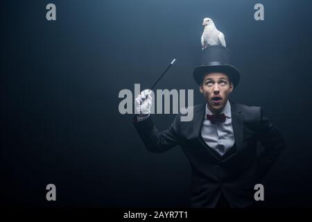 Emotionaler Zauberer im Hut, der Trick mit Taube und Zauberstab im dunklen Raum mit Rauch zeigt Stockfoto