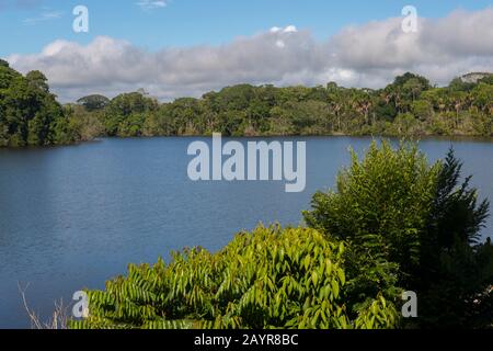 Blick auf den Garzacocha-See im Regenwald der La Selva Lodge in der Nähe von Coca, Ecuador. Stockfoto