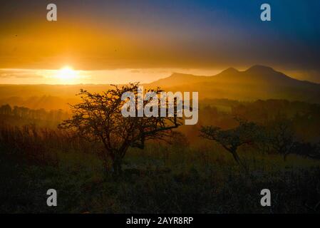 Die Sonne, die von Scott's View über die Eildon Hills in den schottischen Grenzen mit Weißdorngebüschen liegt Stockfoto