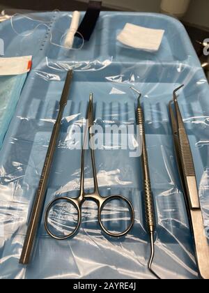Sterilisierte Zahnwerkzeuge auf dem Tablett vom Zahnarztchsir im Zahnarztbüro. Stockfoto