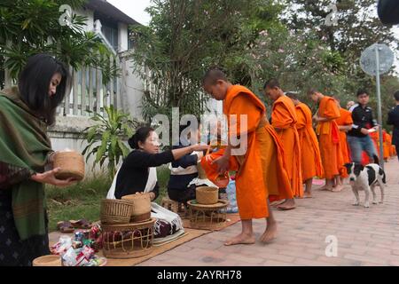 Buddhistische Mönche, die am frühen Morgen vor Sonnenaufgang in der UNESCO-Welterbestadt Luang Prabang in Zentral-Laos Almosen von den Menschen erhalten. Stockfoto