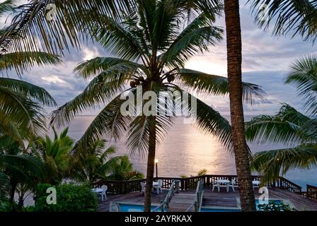 Sonnenuntergang in Niue mit einer Kokospalme im Vordergrund Stockfoto