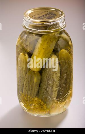 Glas hausgemachter Dillpickeln, die die eingepickten Gurken, Dillkraut, Knoblauch und Traubenblätter zeigen Stockfoto
