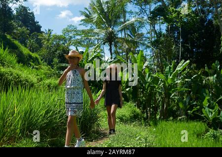 Zwei junge asiatische Mädchen, die an einem heißen Tag bei strahlendem Sommersonne die Rice Paddy Terraces auf Bali erkunden möchten Stockfoto