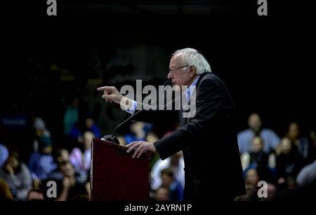 US-Senator Bernie Sanders wirbt an der Franklin Pierce University in Ringe, N. H., USA, während der Presidential Primary in New Hampshire. Stockfoto