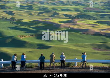 Menschen, die Felder aus dem Steptoe Butte State Park im Whitman County in der Palouse in der Nähe von Pullman, Washington State, USA fotografieren. Stockfoto