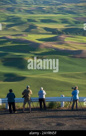 Menschen, die Felder aus dem Steptoe Butte State Park im Whitman County in der Palouse in der Nähe von Pullman, Washington State, USA fotografieren. Stockfoto