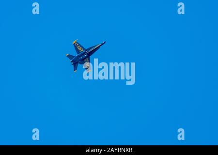 A Blue Angels F/A-18 Hornet fliegt über den Lake Washington in Seattle im US-Bundesstaat Washington. Stockfoto