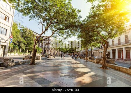 November 2019 In Havanna, Kuba Statt. Touristen gehen auf der Straße Des Alten Havanna in Havanna, Kuba. Hauptstraße in der Innenstadt von Havanna. Paseo del prado, de Stockfoto