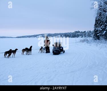 Hundeschlittenfahrt auf dem Grace Lake in Yellowknife, Northwest Territories, Kanada Stockfoto