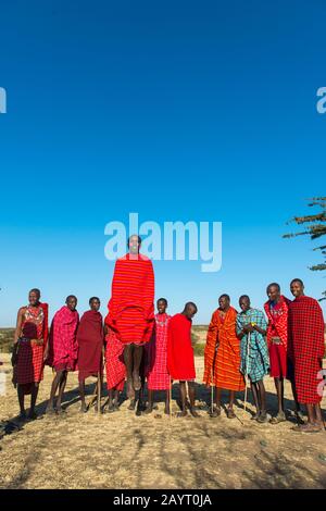 Junge Maasai-Männer, die einen traditionellen Springtanz in der Masai Mara in Kenia ausführen. Stockfoto