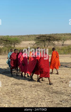 Junge Maasai-Männer, die einen traditionellen Springtanz in der Masai Mara in Kenia ausführen. Stockfoto