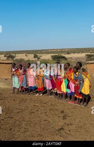 Maasai-Frauen, die in der Masai Mara in Kenia einen traditionellen Begrüßungstanz darbringen. Stockfoto