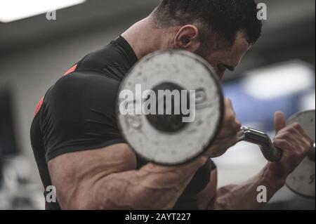 Kräftiges junges Männchen im schwarzen Trikot bizeps Muskel mit kleiner Barbell Stockfoto