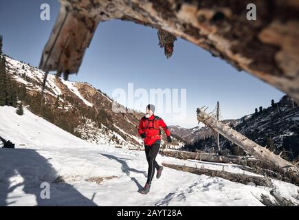 Der alte Läufer mit grauem Bart und roter Jacke läuft im Winter in der Nähe von Baumstämmen in den Bergen. Skyrunning und Trailing Outdoor-Aktivitäten Stockfoto