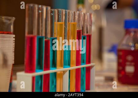 Zahlreiche mehrfarbige Reagenzgläser mit verschiedenen Chemikalien werden in einem speziellen Rack auf dem Tisch platziert, die Reagenzgläser sind rot, gelb und blau, leer. Stockfoto