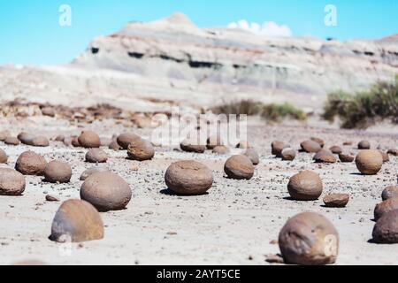 Ungewöhnliche narurale Steinkugeln, Cancha de bochas, Ischigualasto, Argentinien. Stockfoto