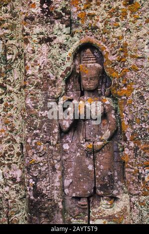 Eine bas-Reliefschnitzerei einer mit Flechten überwucherten Göttin im Preah Khan Tempel in Angkor bei Siem Reap in Kambodscha. Stockfoto