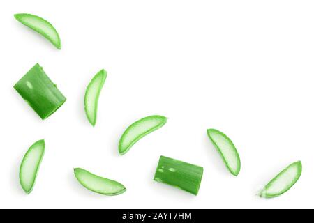 Aloe vera schneidet isoliert auf weißem Hintergrund mit Kopierbereich für Ihren Text. Draufsicht mit Beschneidungspfad und voller Schärfentiefe. Flaches Lay. Stockfoto