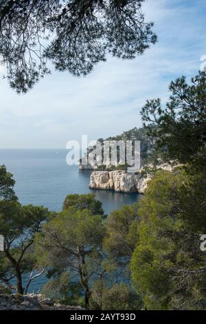 Blick auf die Calanque de Port-Pin im Nationalpark Calanques in der Nähe der Stadt Cassis in der Provence, Frankreich. Stockfoto