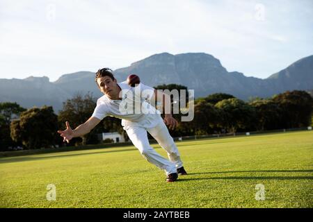 Cricketspieler versuchen, einen Cricketball auf dem Spielfeld zu fangen Stockfoto