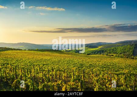 Panzano in Chianti Weinberg und Panorama bei Sonnenuntergang im Herbst. Toskana, Italien Europa. Stockfoto