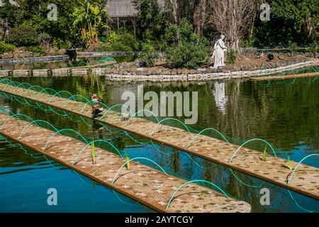 Die Estufa Fria ist ein Gewächshaus mit drei Gärten im Eduardo VII Park, zwischen Alameda Engenheiro Edgar Cardoso und Alameda Cardeal Cerejeira Stockfoto