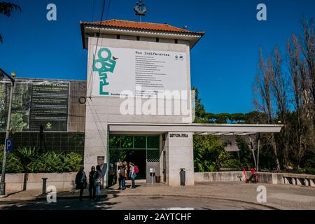 Die Estufa Fria ist ein Gewächshaus mit drei Gärten im Eduardo VII Park, zwischen Alameda Engenheiro Edgar Cardoso und Alameda Cardeal Cerejeira Stockfoto