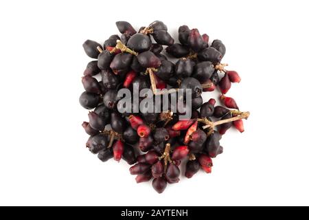 Draufsicht über Syzygium cumini, schwarze Pflaume, Jamun oder Syzygium cumini isoliert auf weißem Hintergrund Stockfoto