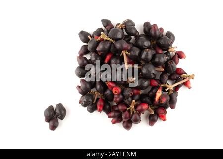 Draufsicht von Syzygium cumini, schwarze Pflaume, Jamun oder Syzygium cumini isoliert auf weißem Hintergrund Stockfoto