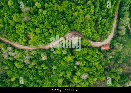 Blick auf grüne Wiesen, kleine Häuser und Straßen in Siebenbürgen, Rumänien. Stockfoto