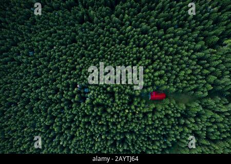 Märchenhaftes kleines Haus im Wald aus einer Drohne. Stockfoto