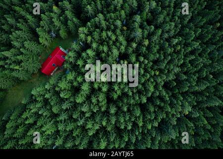 Märchenhaftes kleines Haus im Wald aus einer Drohne. Stockfoto