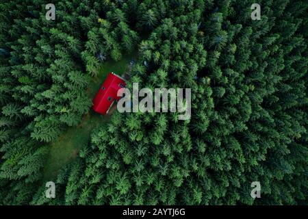 Märchenhaftes kleines Haus im Wald aus einer Drohne. Stockfoto