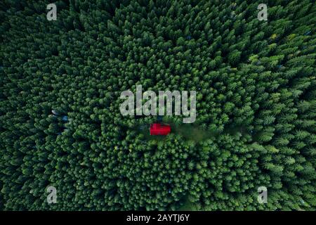 Märchenhaftes kleines Haus im Wald aus einer Drohne. Stockfoto