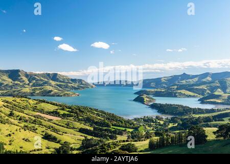 Banks Peninsula mit Blick auf Akaroa, in der Nähe von Christchurch, Canterbury, South Island, Neuseeland Stockfoto