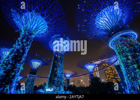 Supertrees bei Nacht, Brücke oder Skyway zwischen den Bäumen, Marina Bay Sands Hotel im Hintergrund, Supertree Grove, Gardens by the Bay, Singapur Stockfoto