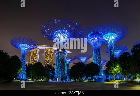 Supertrees in der Nacht, Marina Bay Sands Hotel im Hintergrund, Supertree Grove, Gardens by the Bay, Singapur Stockfoto